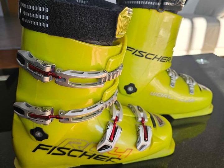 Pancerice Fischer RC4