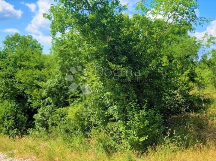 Labin, okolica, građevinsko zemljište nedaleko mora