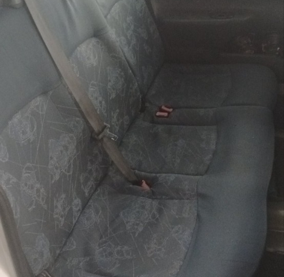 Renault Kangoo 1.9 D putni