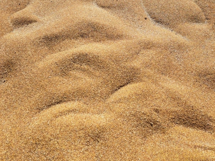 Djetelina /Eraspanja