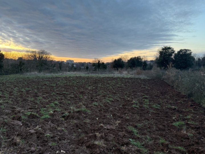 Poljoprivredno zemljište – Ližnjan,