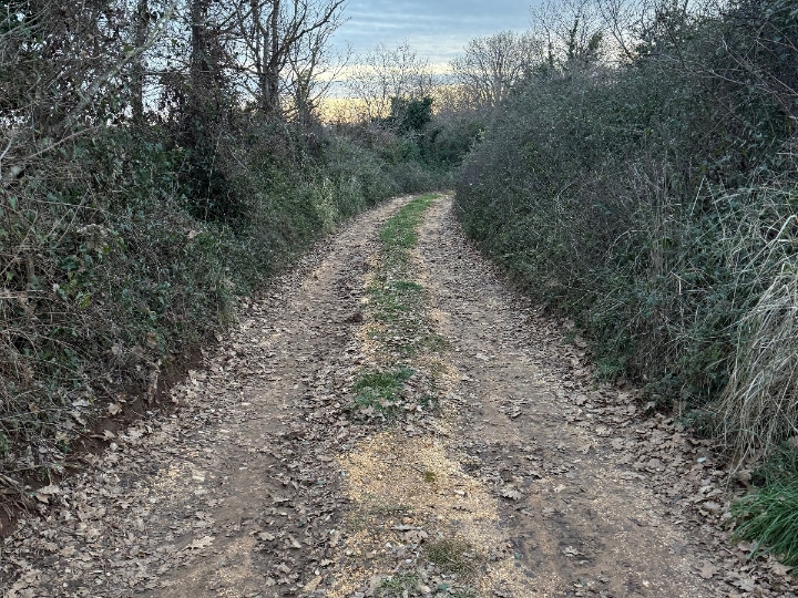 Poljoprivredno zemljište – Ližnjan,