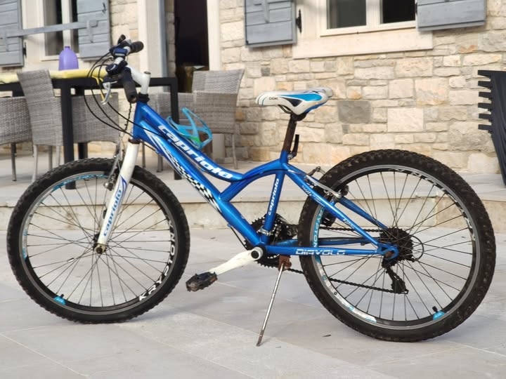 Dječji bicikl Capriolo