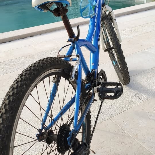 Dječji bicikl Capriolo