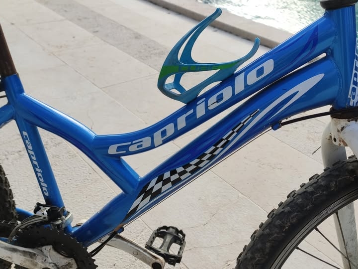 Dječji bicikl Capriolo