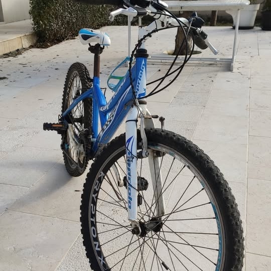 Dječji bicikl Capriolo