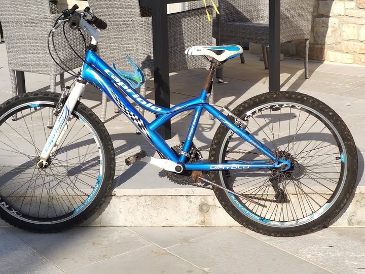 Dječji bicikl Capriolo