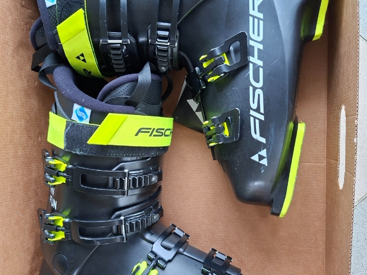 Pancerice Fischer RC4