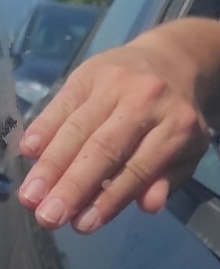 Samo jedno finu ženu tražim.....