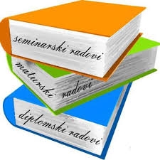 Ekonomist piše seminarske radove