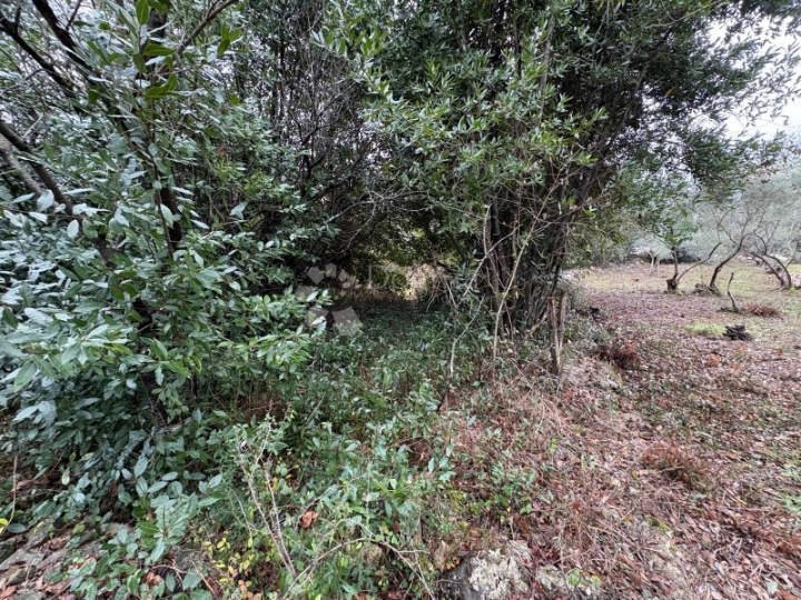 Građevinsko zemljište u okruženju vila s bazenom