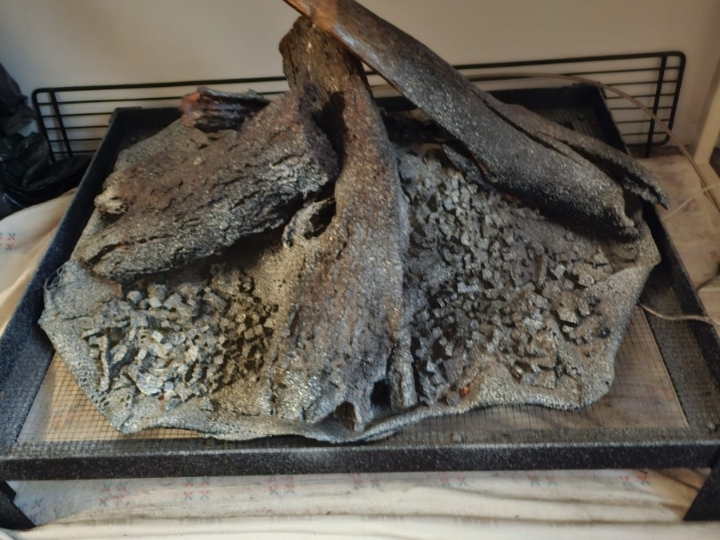 Ekološki oganj za kamin