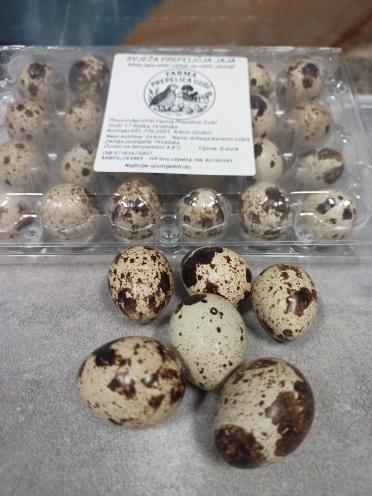 Svježa prepeličja jaja