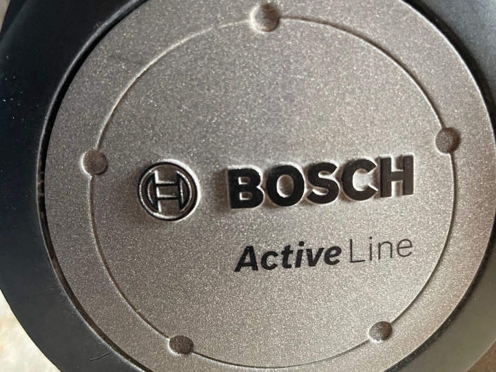 Ženski električni bicikl