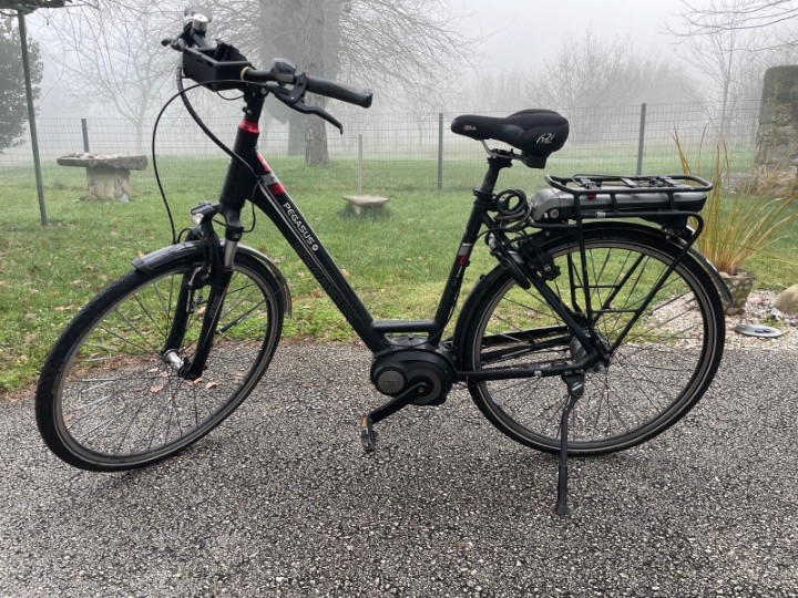 Ženski električni bicikl