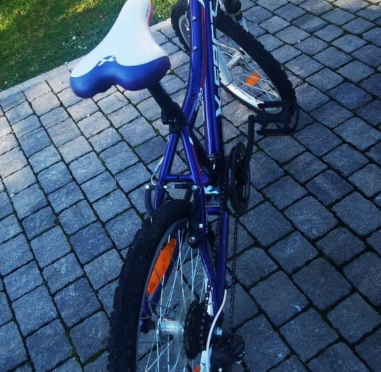 Dječji bicikl X Fact Mission 20col.