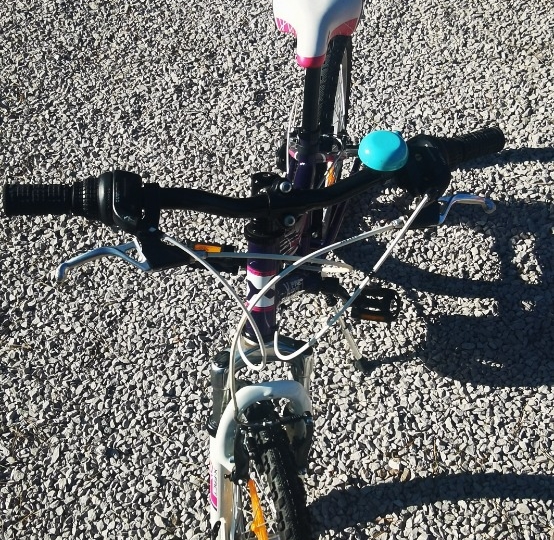 Dječji bicikl X Fact Mission 20col.