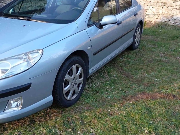 Peugeot 407