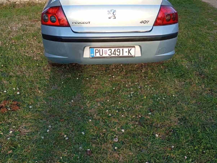 Peugeot 407