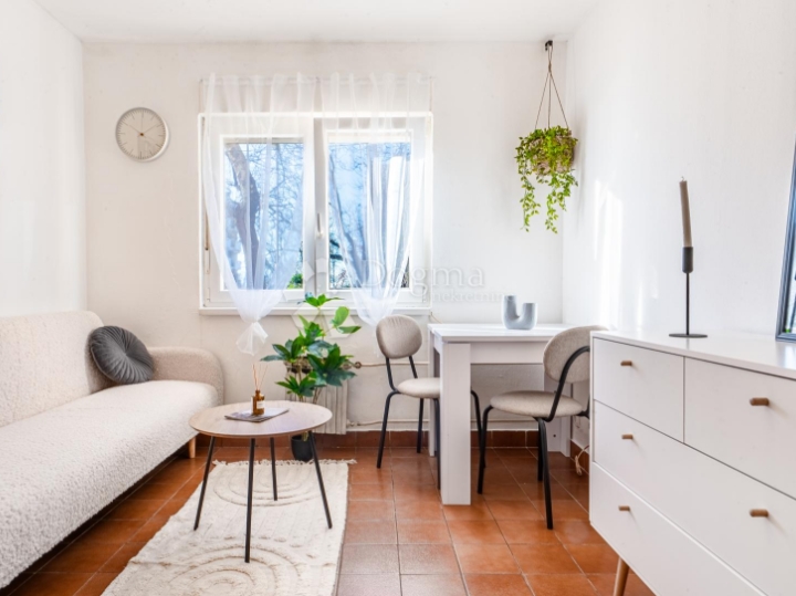 Zamet, jednosobni stan