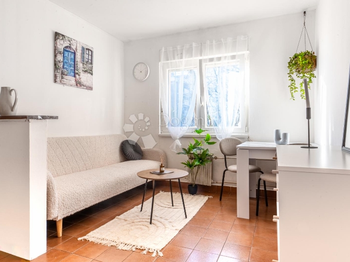 Zamet, jednosobni stan