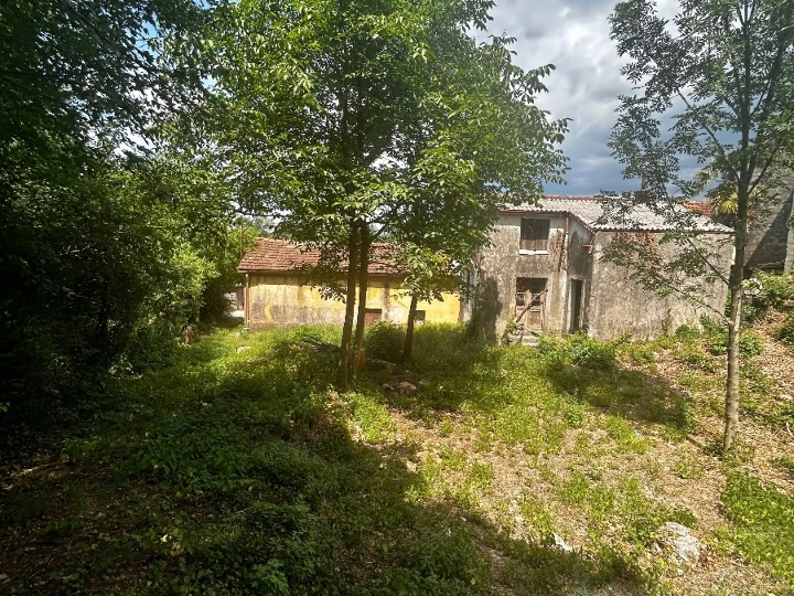 Starina - Grobnik mijenjam za stan!