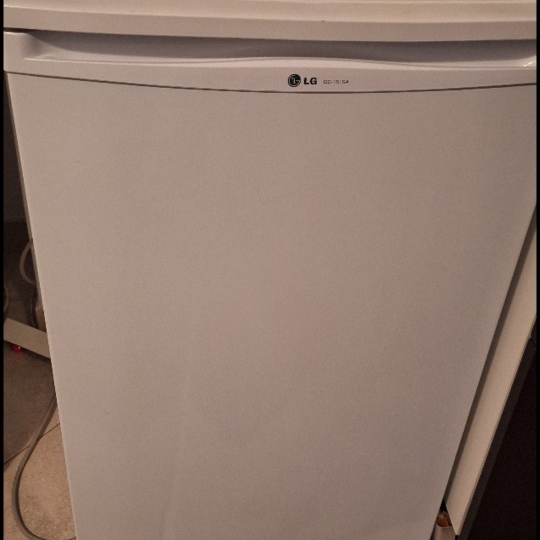 LG  mali samostojeći hladnjak