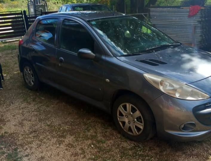 Peugeot 206 plus