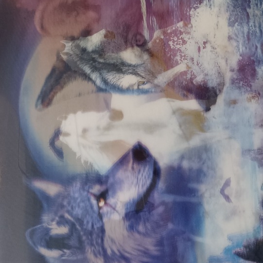 Poklanjam razne stvari