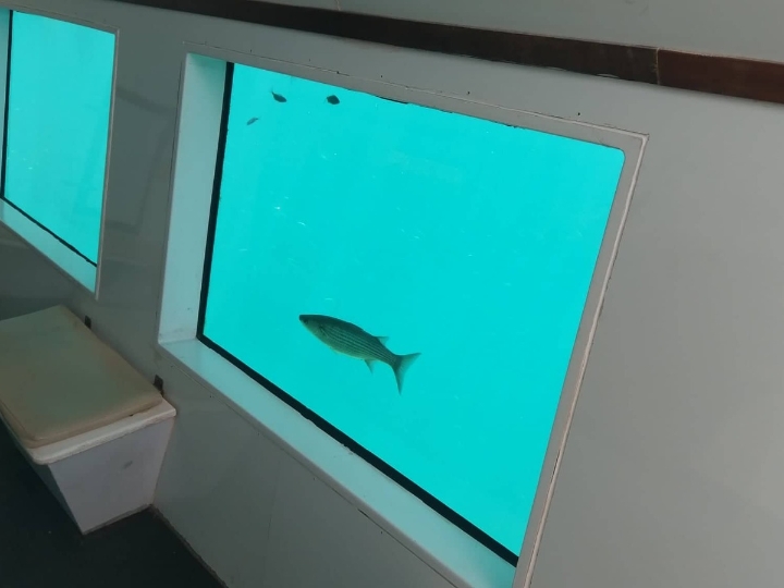 Hitno! Polupodmornica prodaja