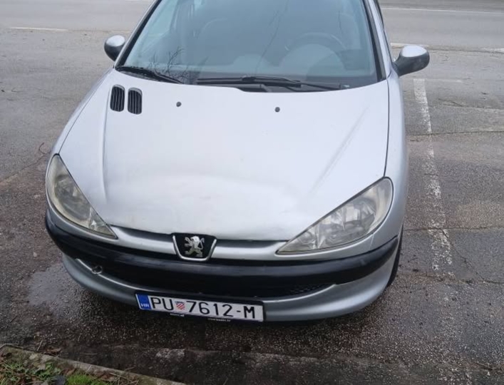 Peugeot 206 SW