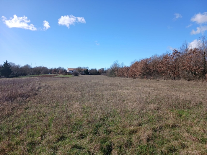 Istra – investicijska prilika