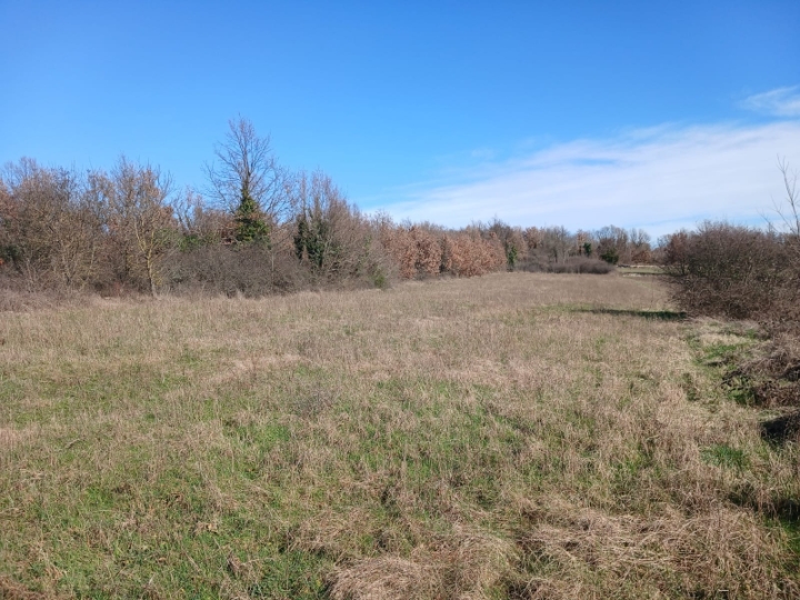 Istra – investicijska prilika