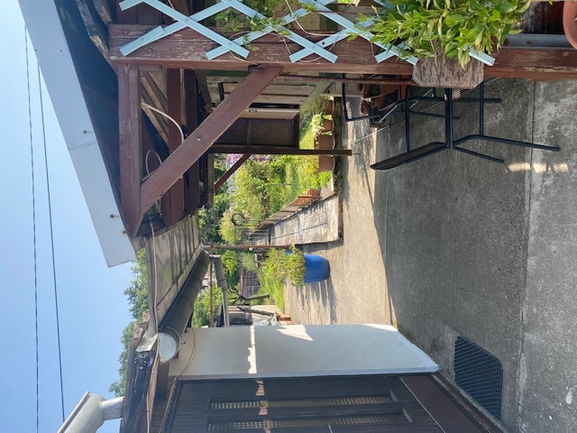 Gornja Drenova, kuća i dvorište