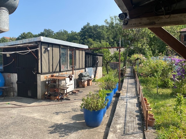 Gornja Drenova, kuća i dvorište