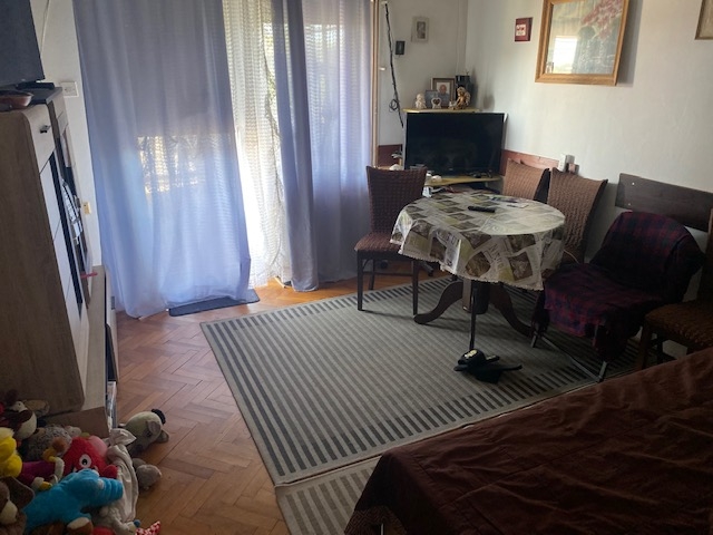 Gornja Drenova, kuća i dvorište