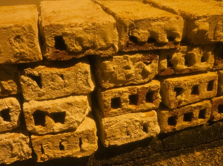 Cigle stare preko 100 godina