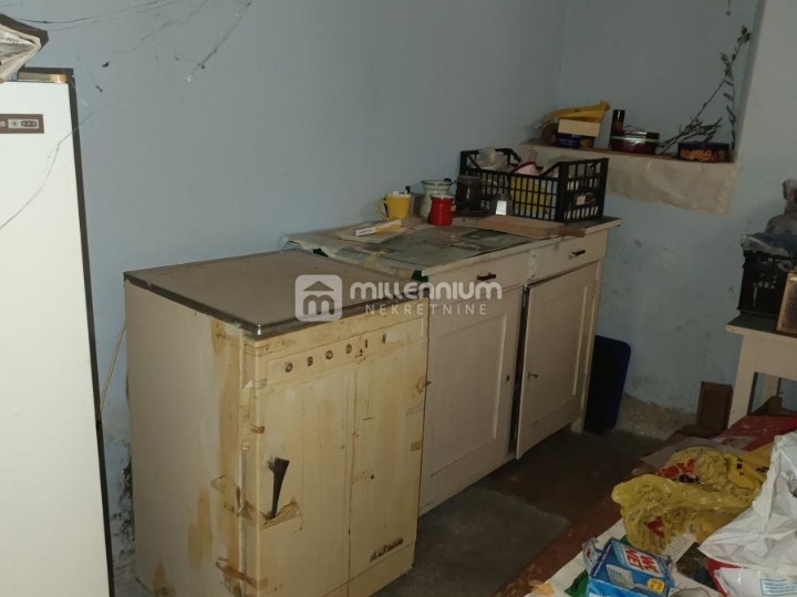 Istra, Vodnjan, kuća s gospodarskim objektom i dvorištem