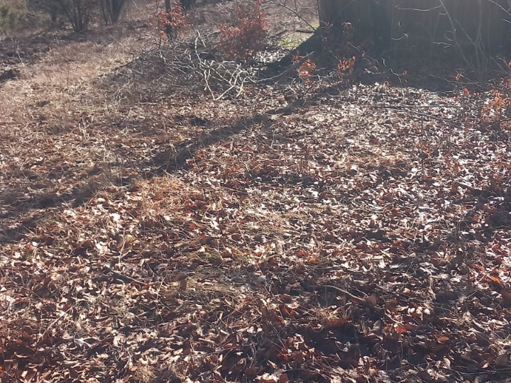 Građevinsko zemljište