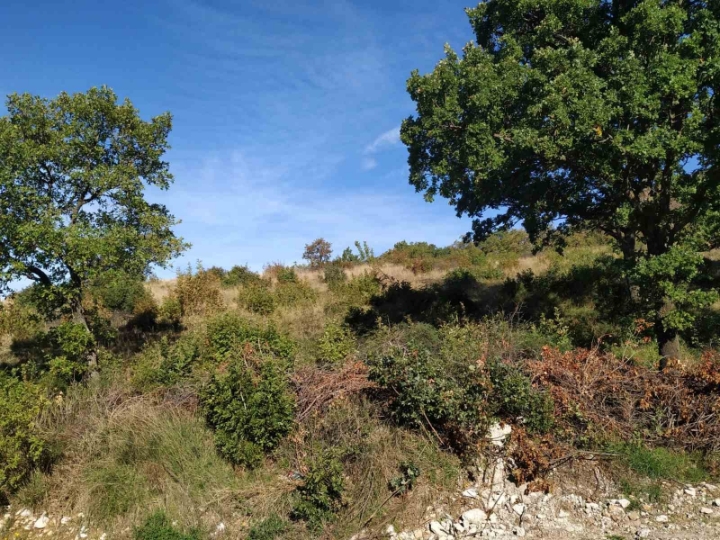 Građevinsko zemljište