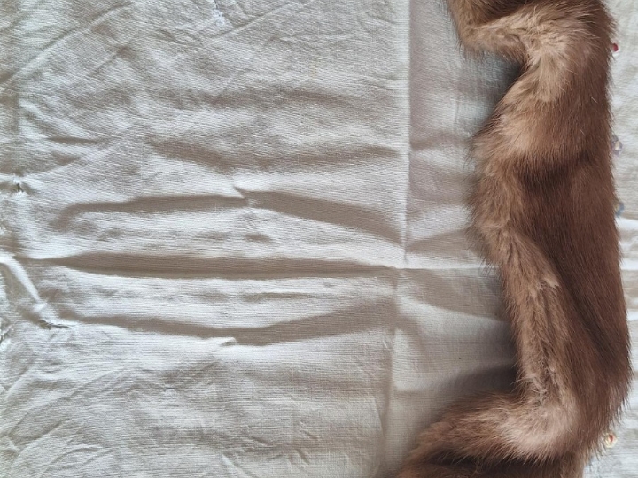 Ženski ovratnik od nerca