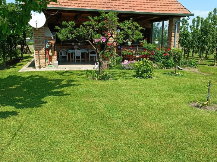 Usamljeni umirovljenik