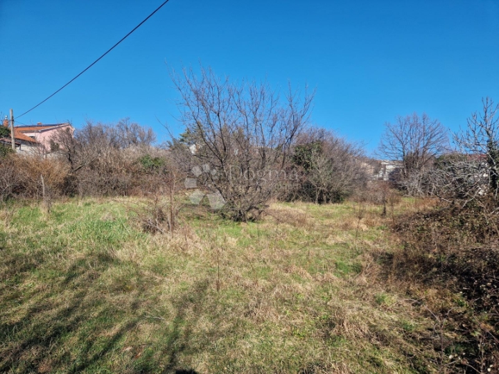 Samo u Dogmi, zemljište za vašu obiteljsku priču!