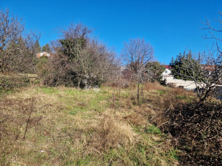 Samo u Dogmi, zemljište za vašu obiteljsku priču!