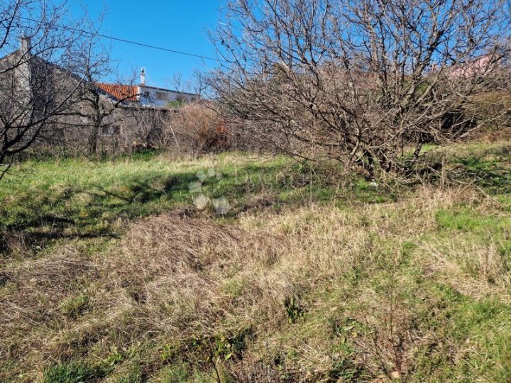Samo u Dogmi, zemljište za vašu obiteljsku priču!