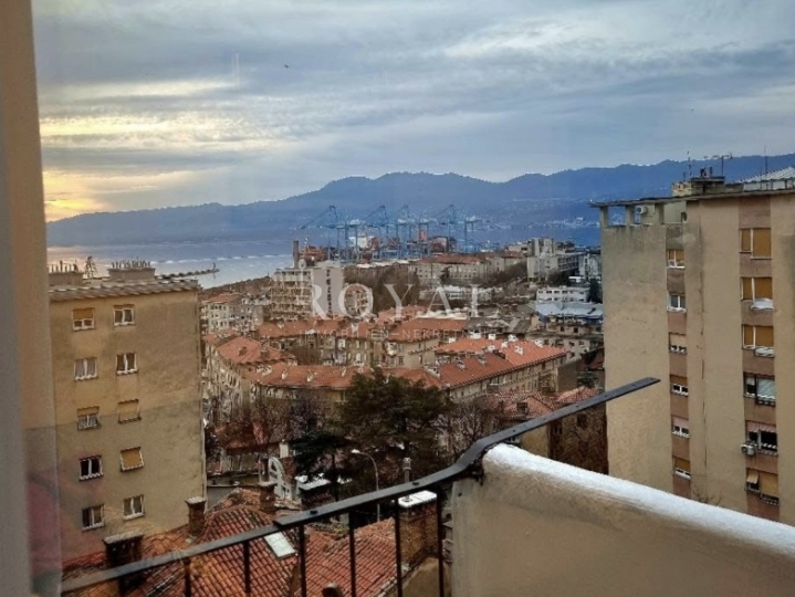 Belveder pet friendly stan - najam