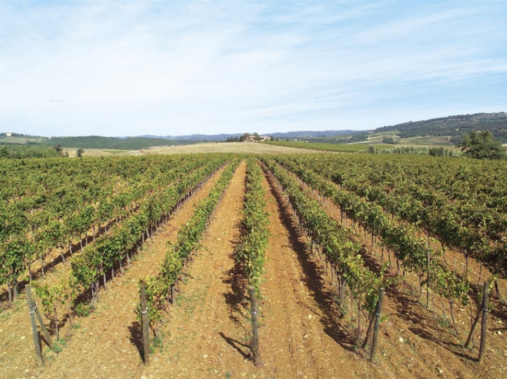 Hrvatski jezik i državna matura