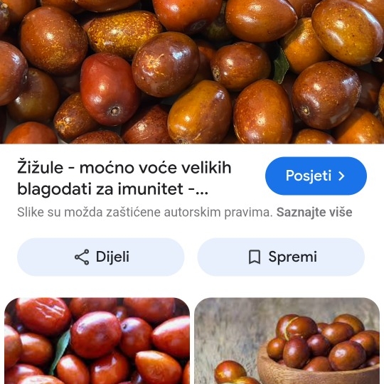Sadnice žižula