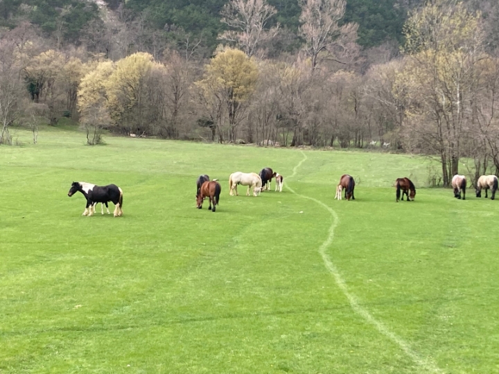 Dražice, 3S+DB u obiteljskoj kući