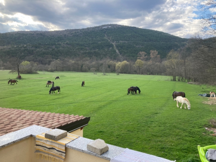 Dražice, 3S+DB u obiteljskoj kući